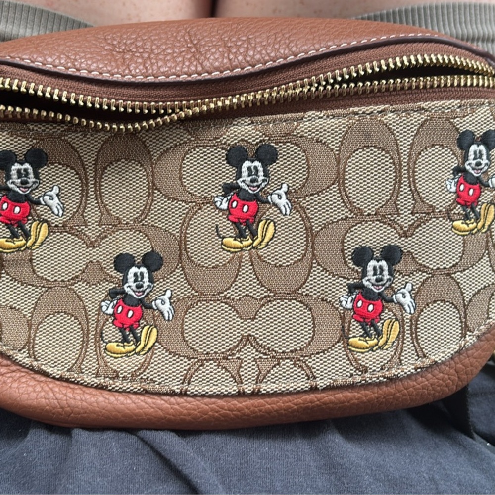 Coach x Disney Brown Leather Bag